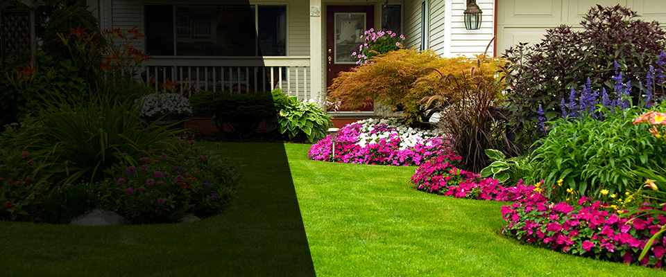 Wilson Landscapers